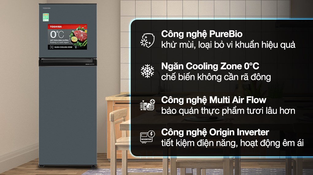 tu-lanh-toshiba-inverter-233-lit-gr-rt303we-pmv